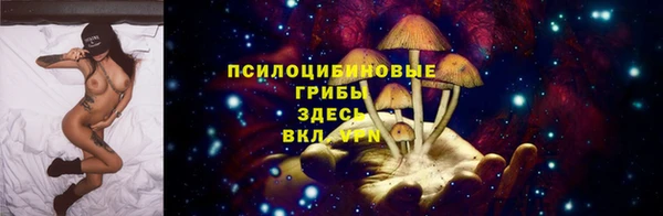 спиды Алексин