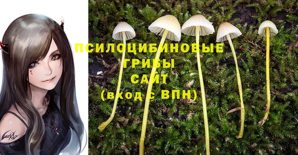 гашишное масло Абинск