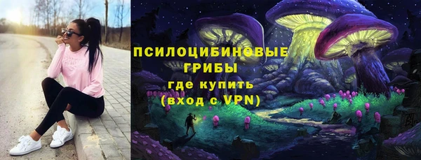 спиды Алексин